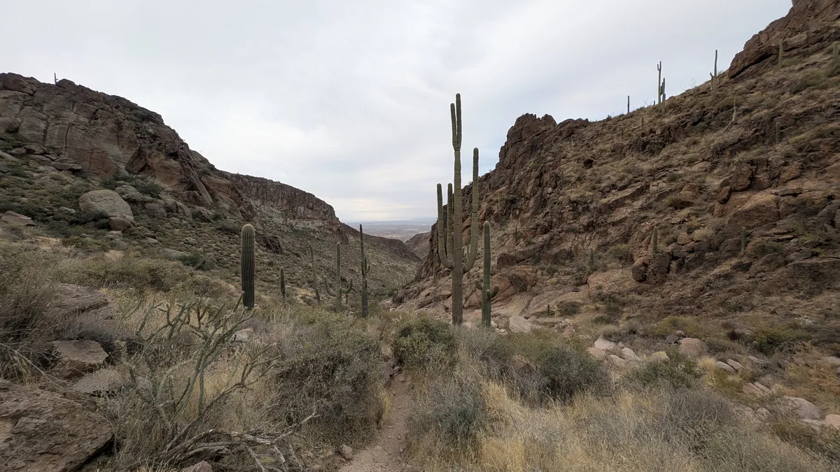 PXL_20250125_161503405