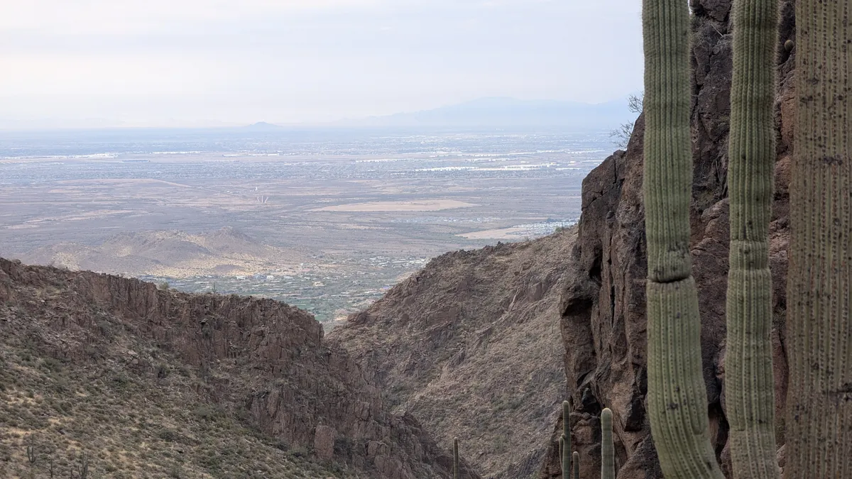 PXL_20250125_161505985