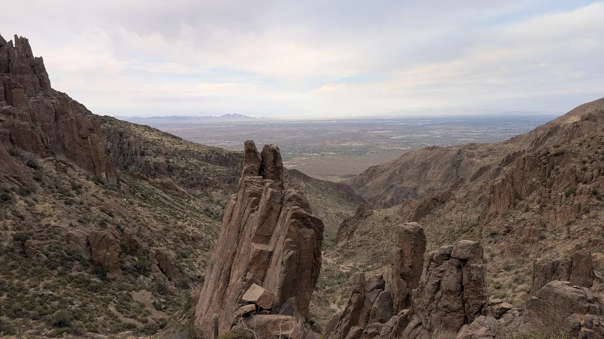 PXL_20250125_163935920