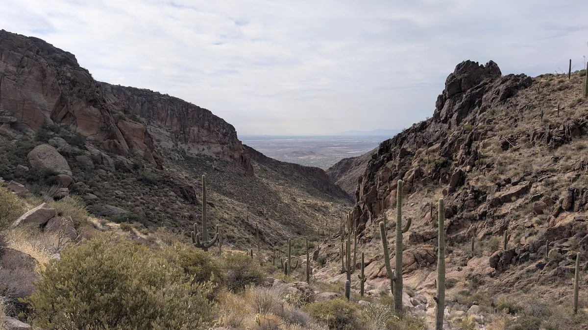 PXL_20250125_202341008