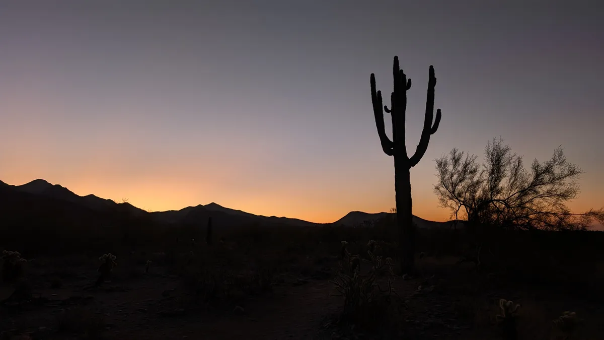 PXL_20250202_135921886