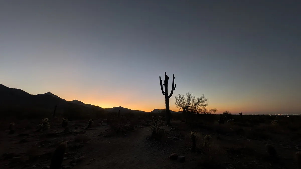 PXL_20250202_135927166