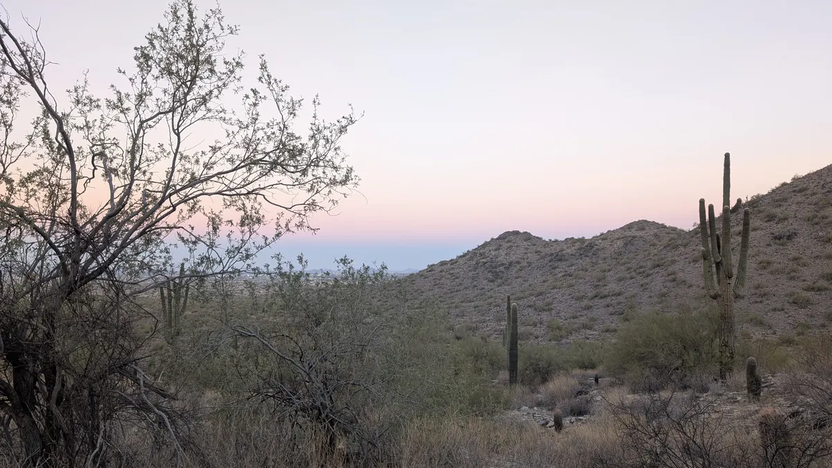 PXL_20250202_141904128