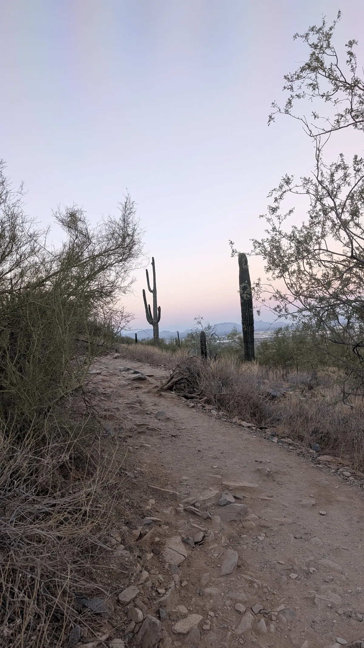 PXL_20250202_141907512