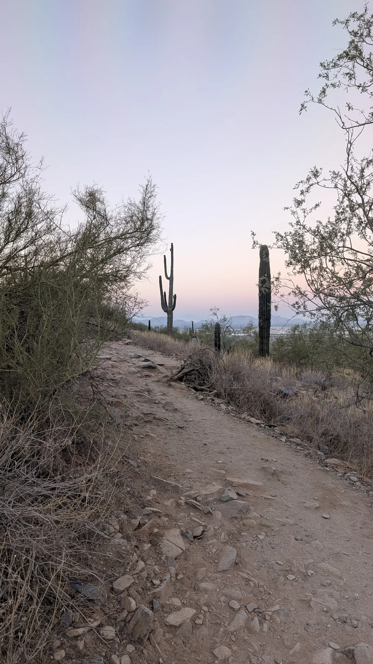 PXL_20250202_141909510