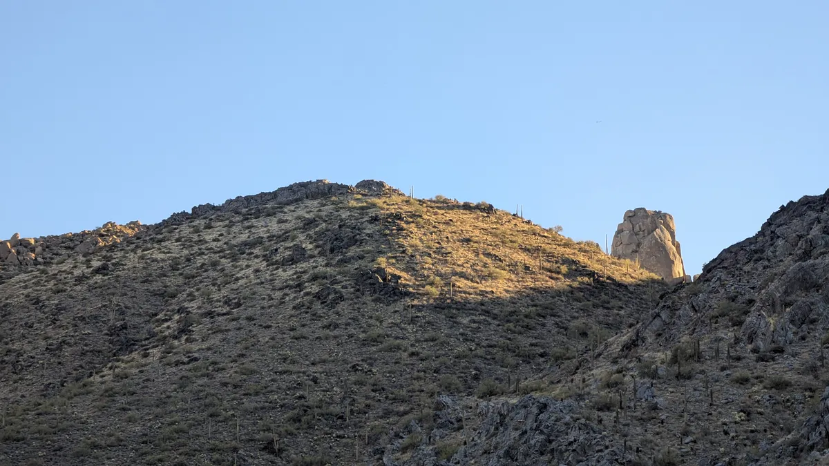 PXL_20250202_153317520