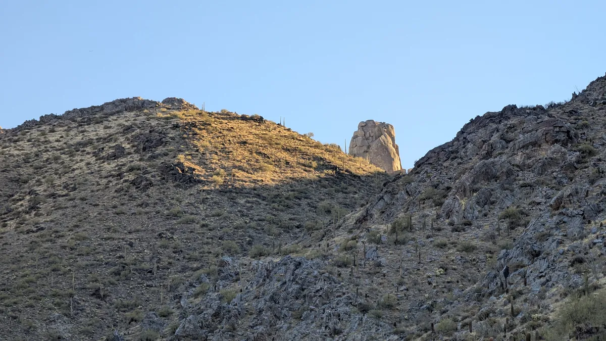 PXL_20250202_153326626