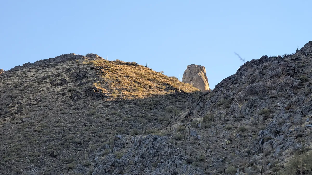 PXL_20250202_153336595