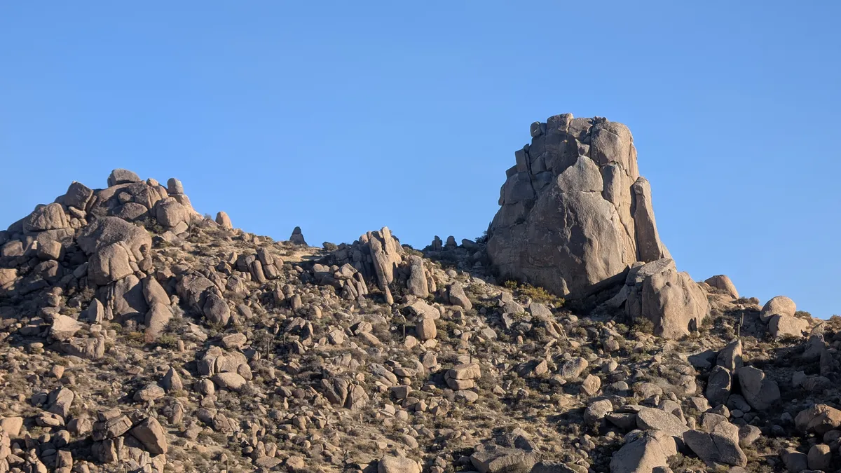 PXL_20250202_161108832