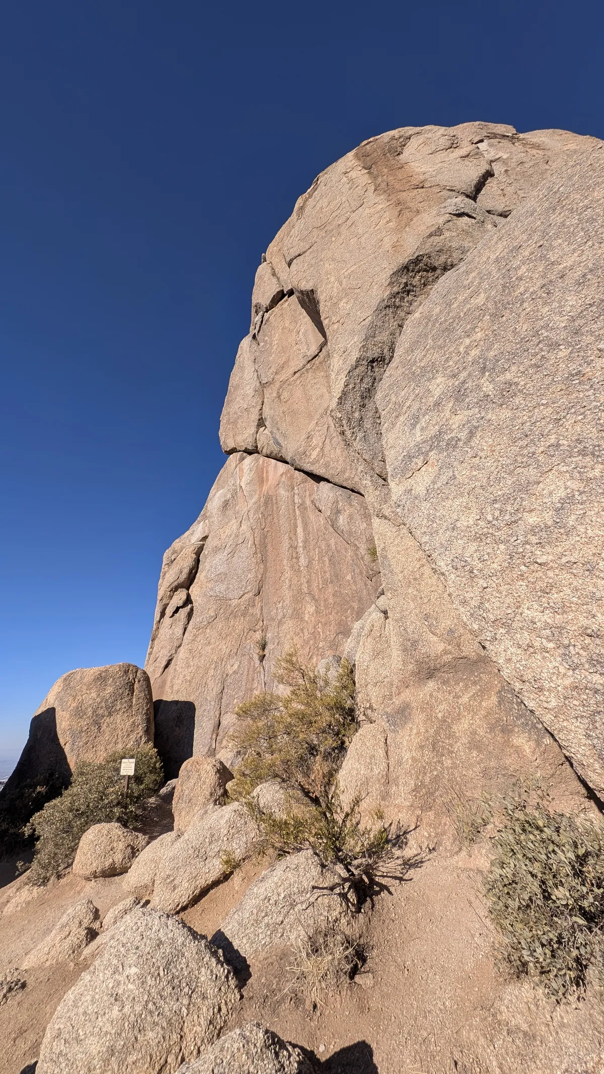 PXL_20250202_170042013