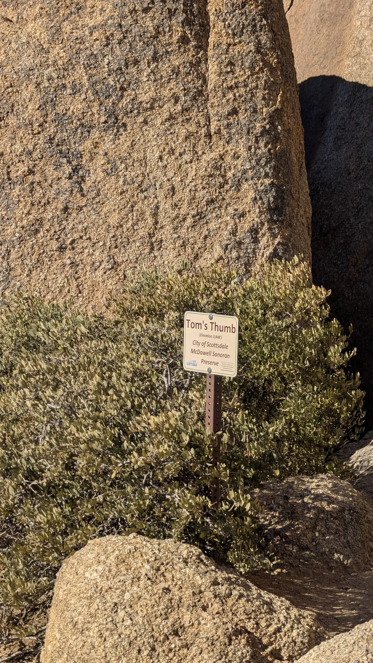 PXL_20250202_170046975