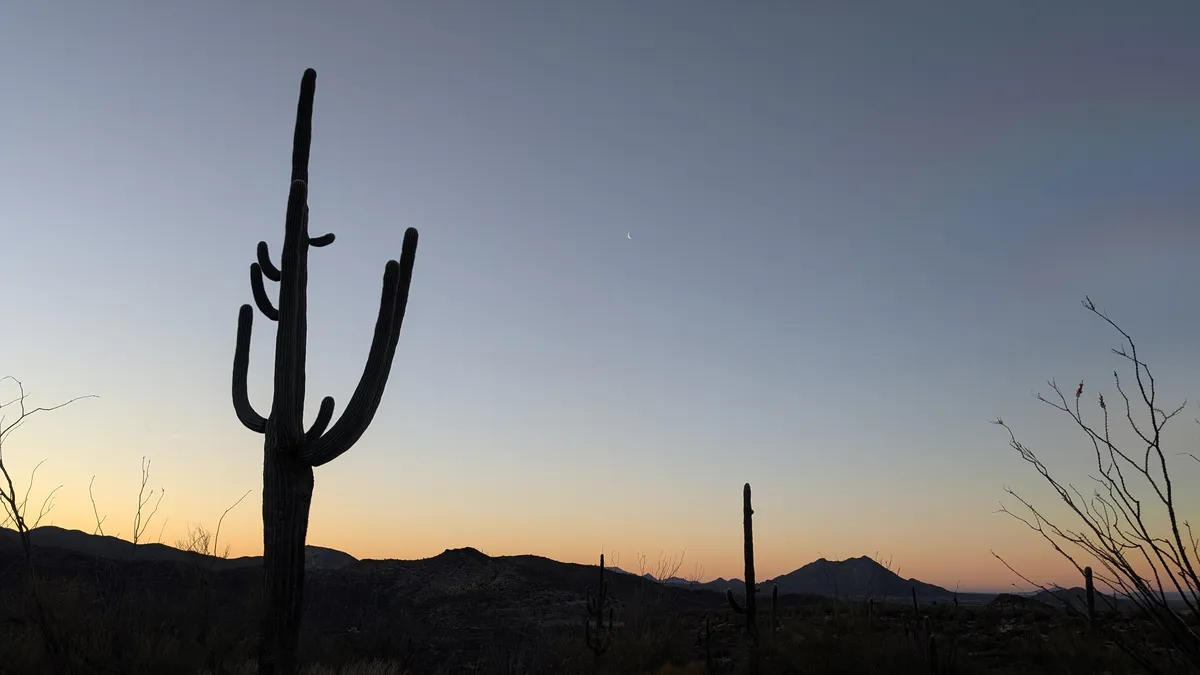 PXL_20250223_140646508