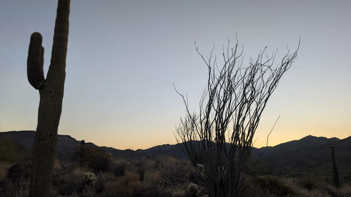 PXL_20250223_140653784