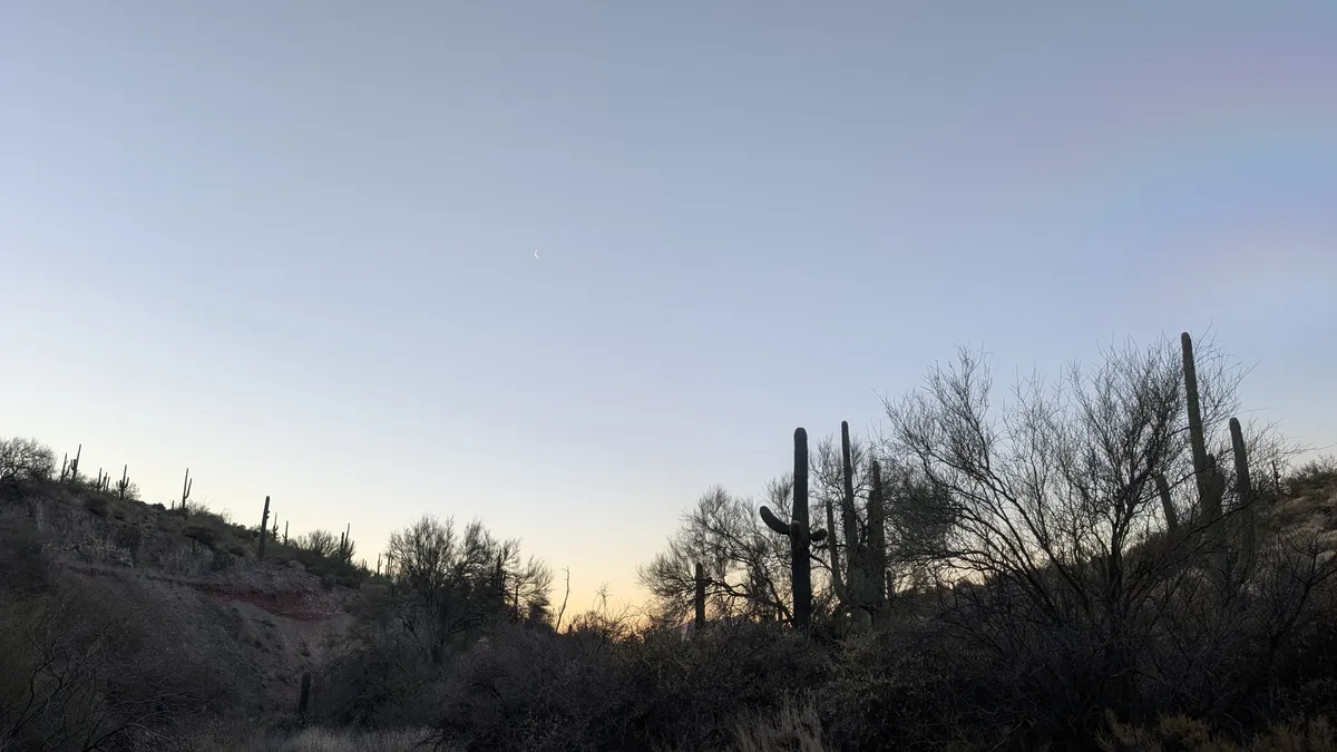 PXL_20250223_141156153