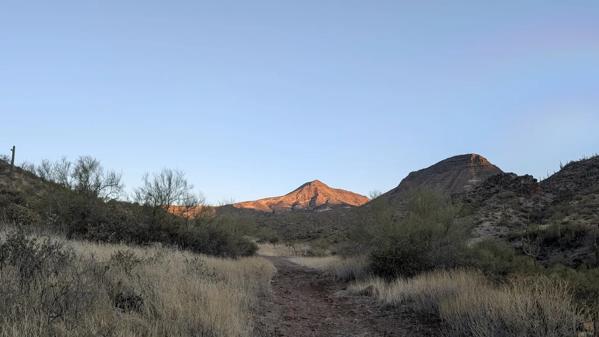 PXL_20250223_141342961