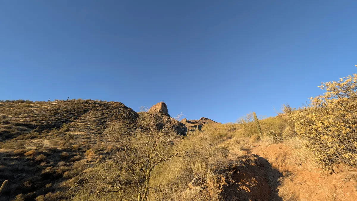 PXL_20250223_143850628