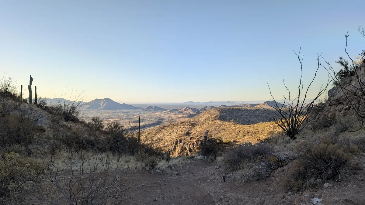 PXL_20250223_150003507