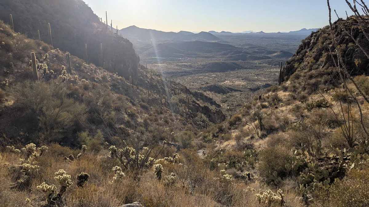 PXL_20250223_151640073