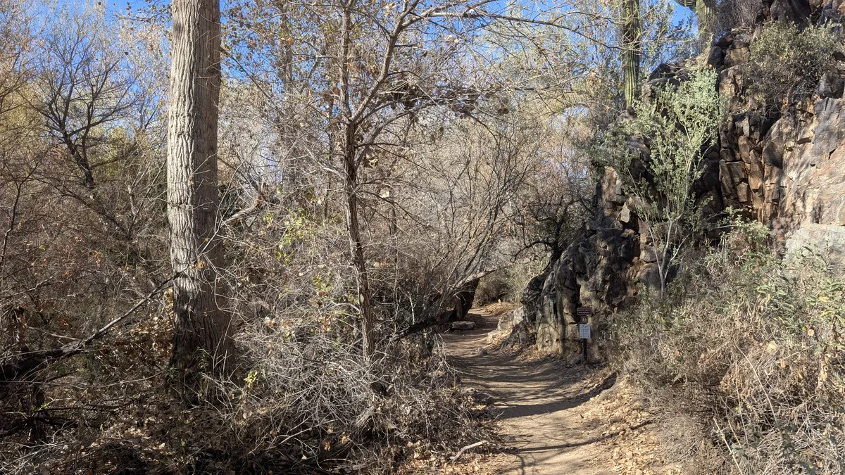 PXL_20250223_165327802