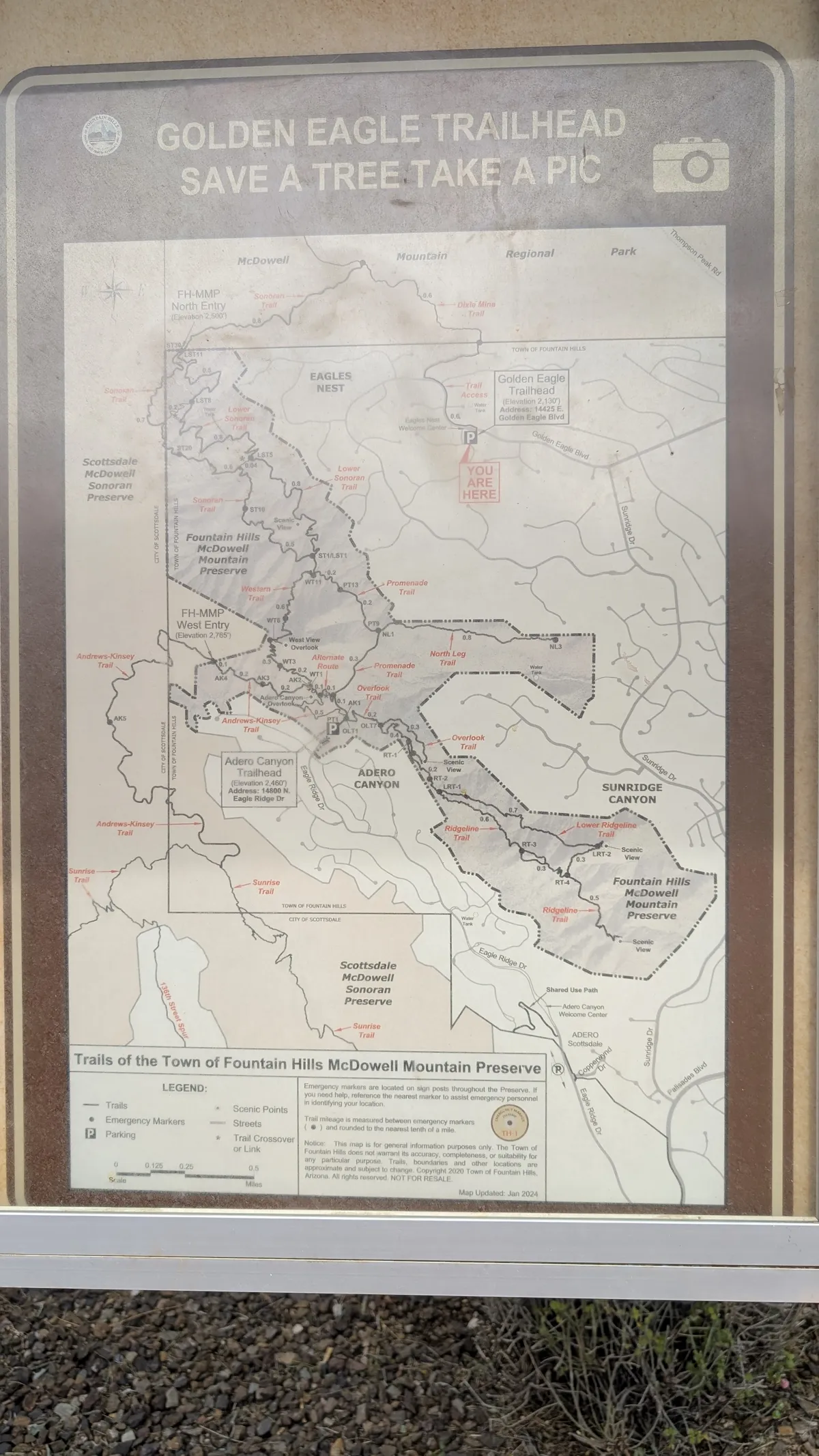 PXL_20250314_174516761