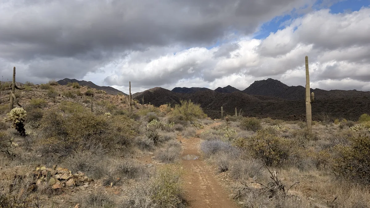 PXL_20250314_181720337