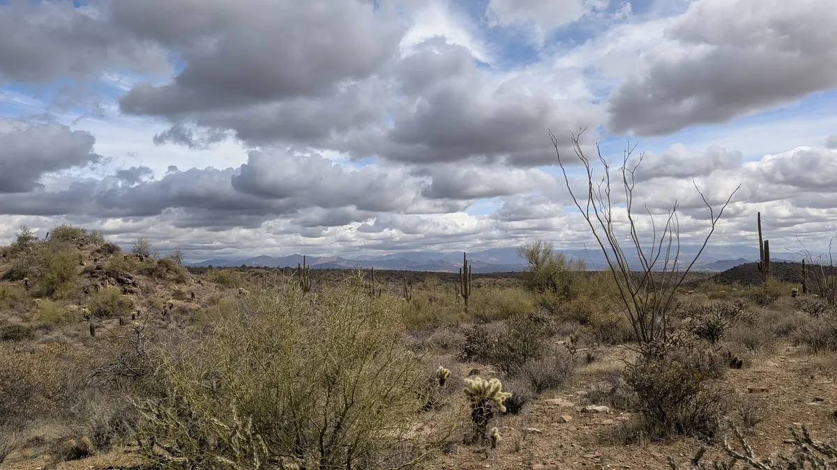 PXL_20250314_181723063