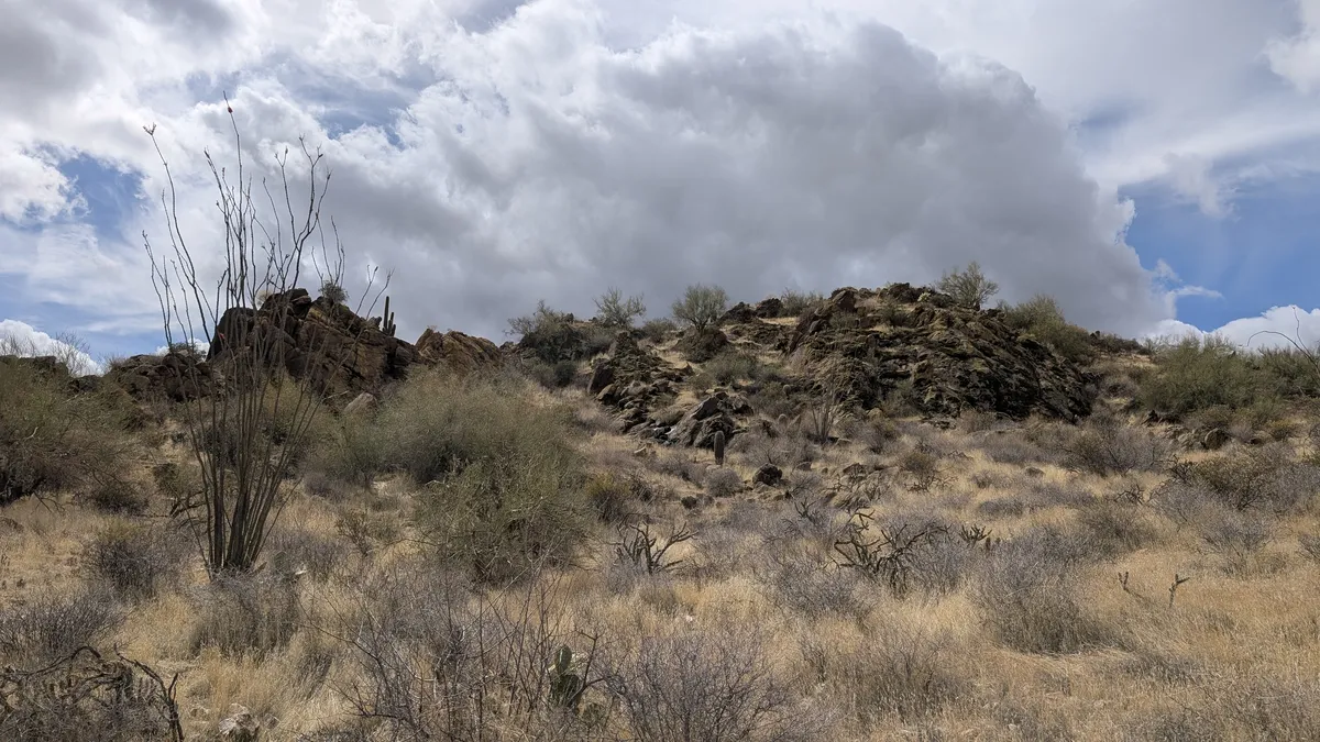 PXL_20250314_182015484