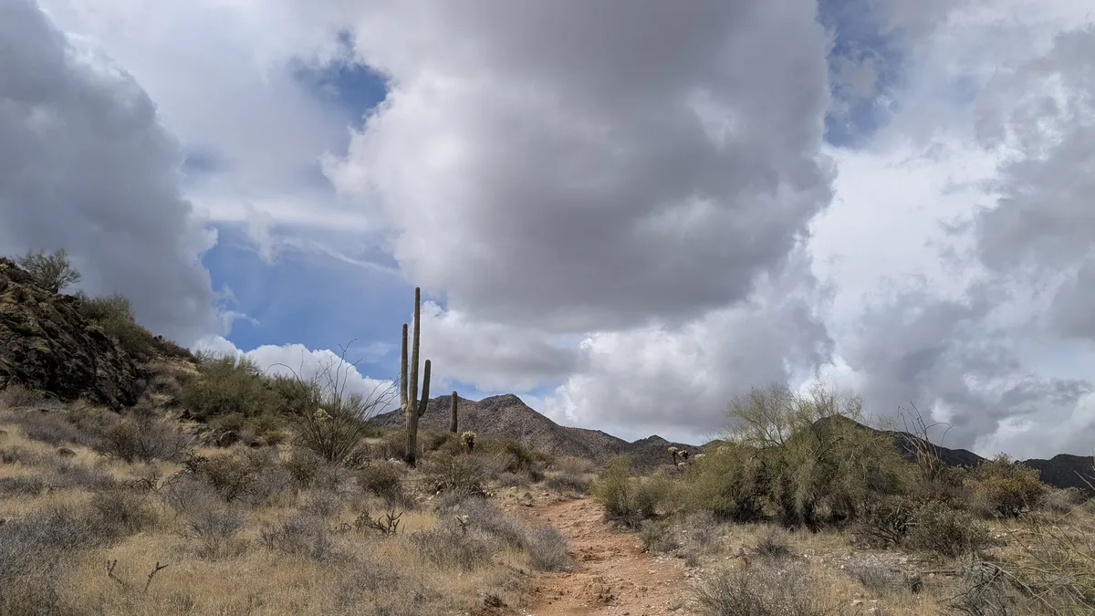 PXL_20250314_182026559