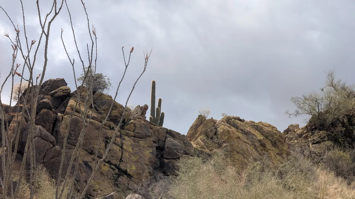 PXL_20250314_182048265