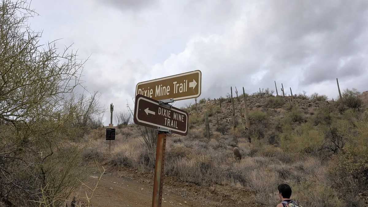 PXL_20250314_183820261