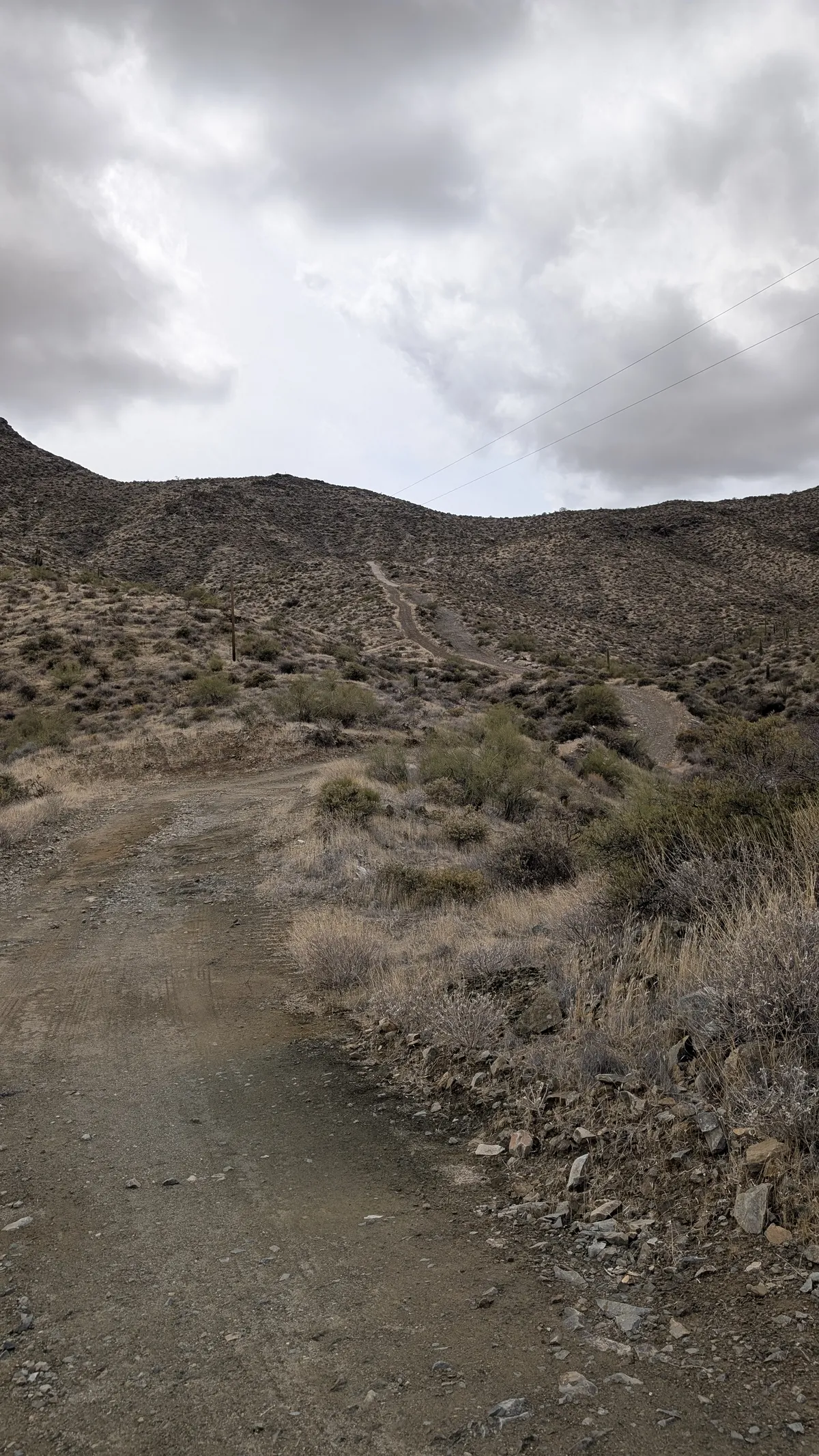 PXL_20250314_190002917