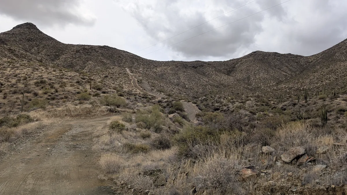 PXL_20250314_190005854