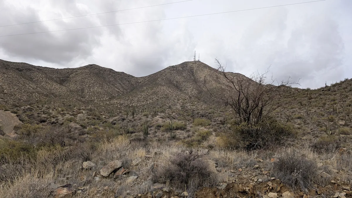 PXL_20250314_190007729