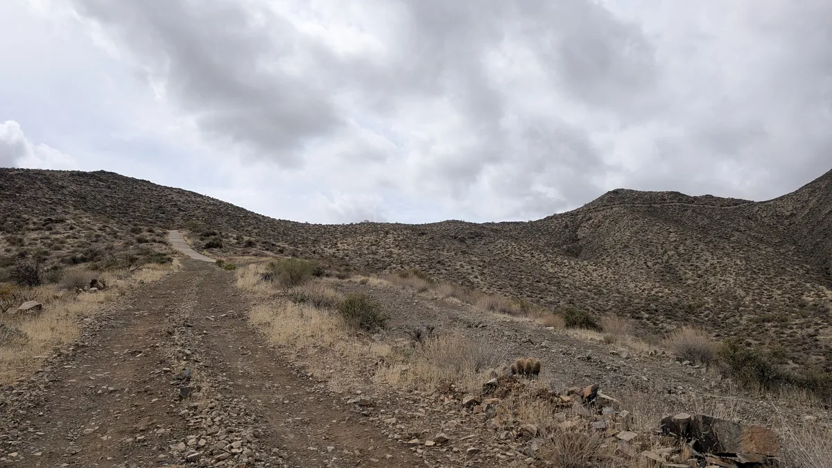 PXL_20250314_190549076