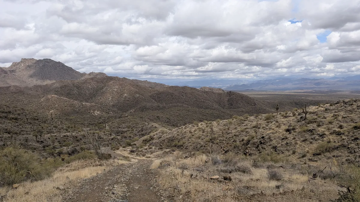 PXL_20250314_190551607