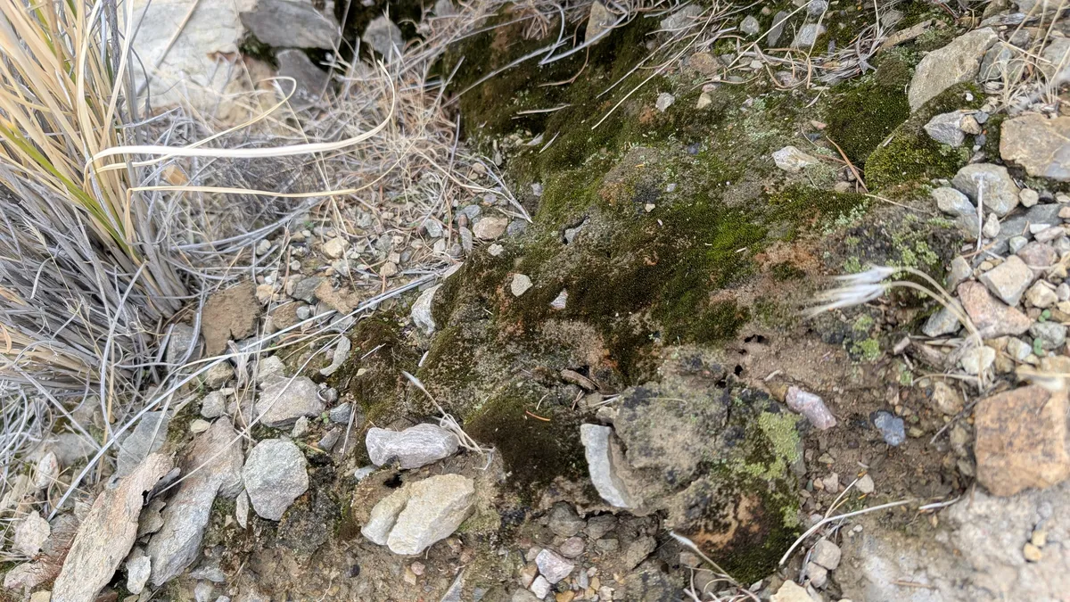 PXL_20250314_191022152