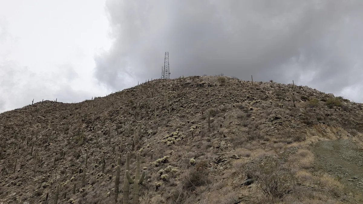 PXL_20250314_193537114