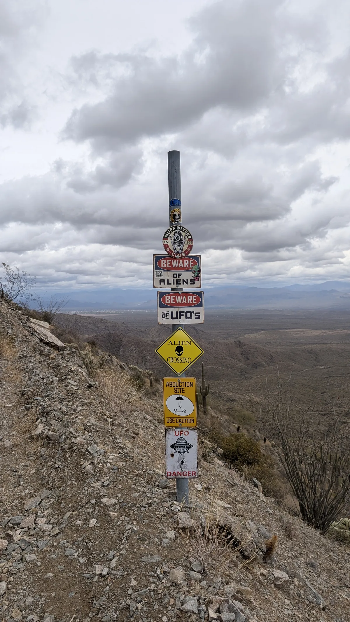 PXL_20250314_193736041