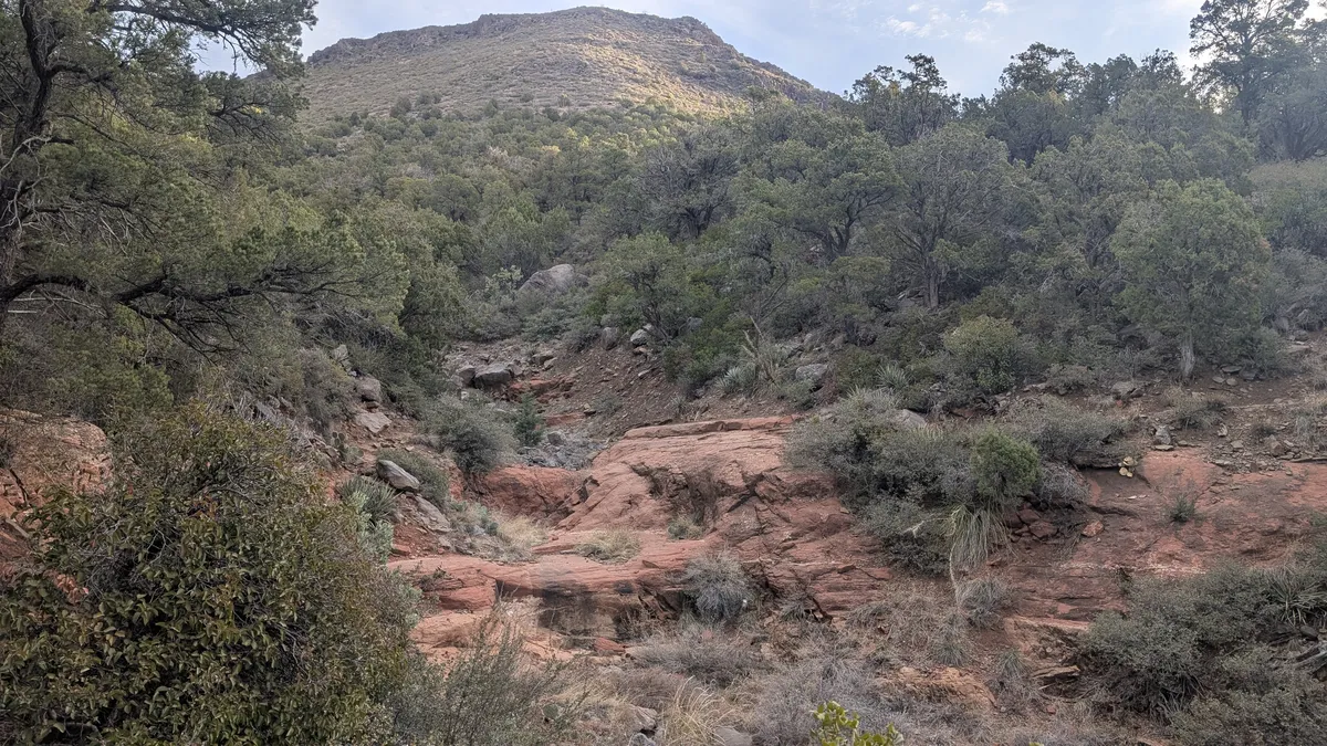 PXL_20250323_142537533