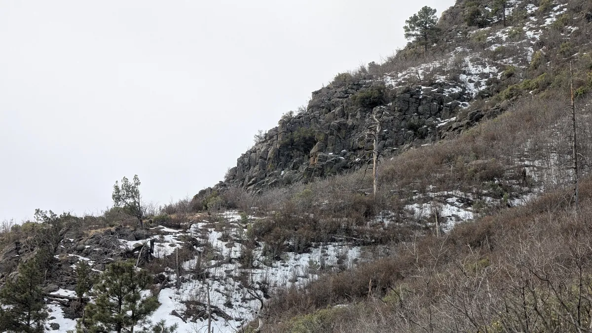 PXL_20250323_152042195