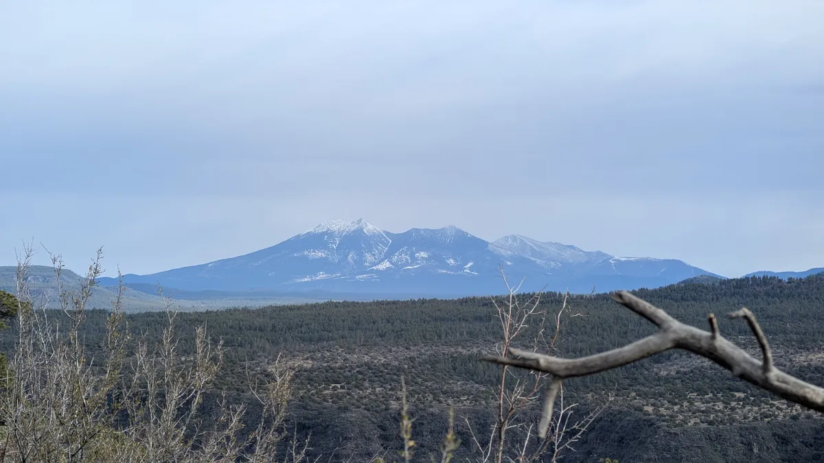 PXL_20250323_152113588