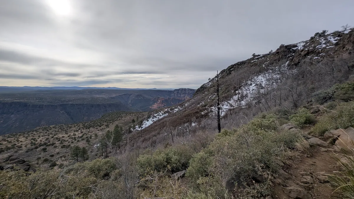 PXL_20250323_153531468