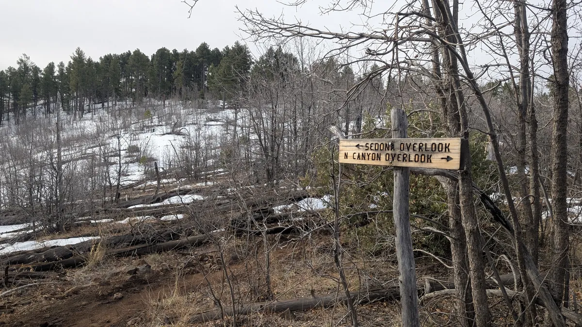 PXL_20250323_154648440