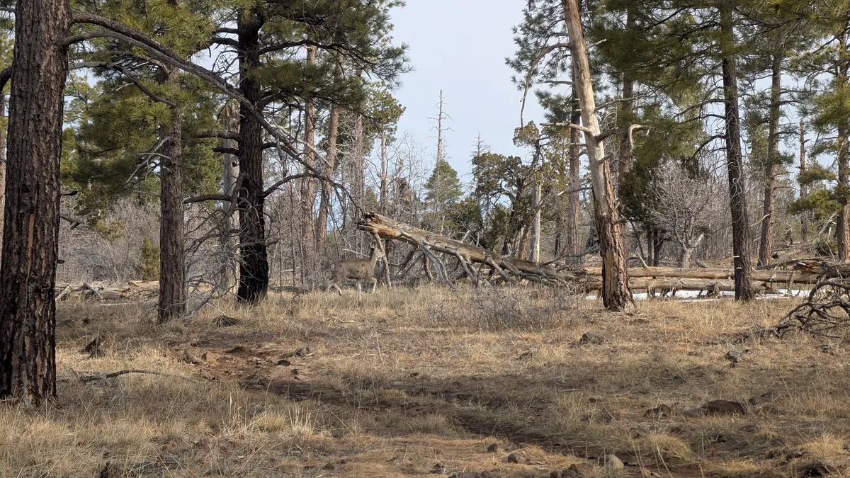 PXL_20250323_155903536