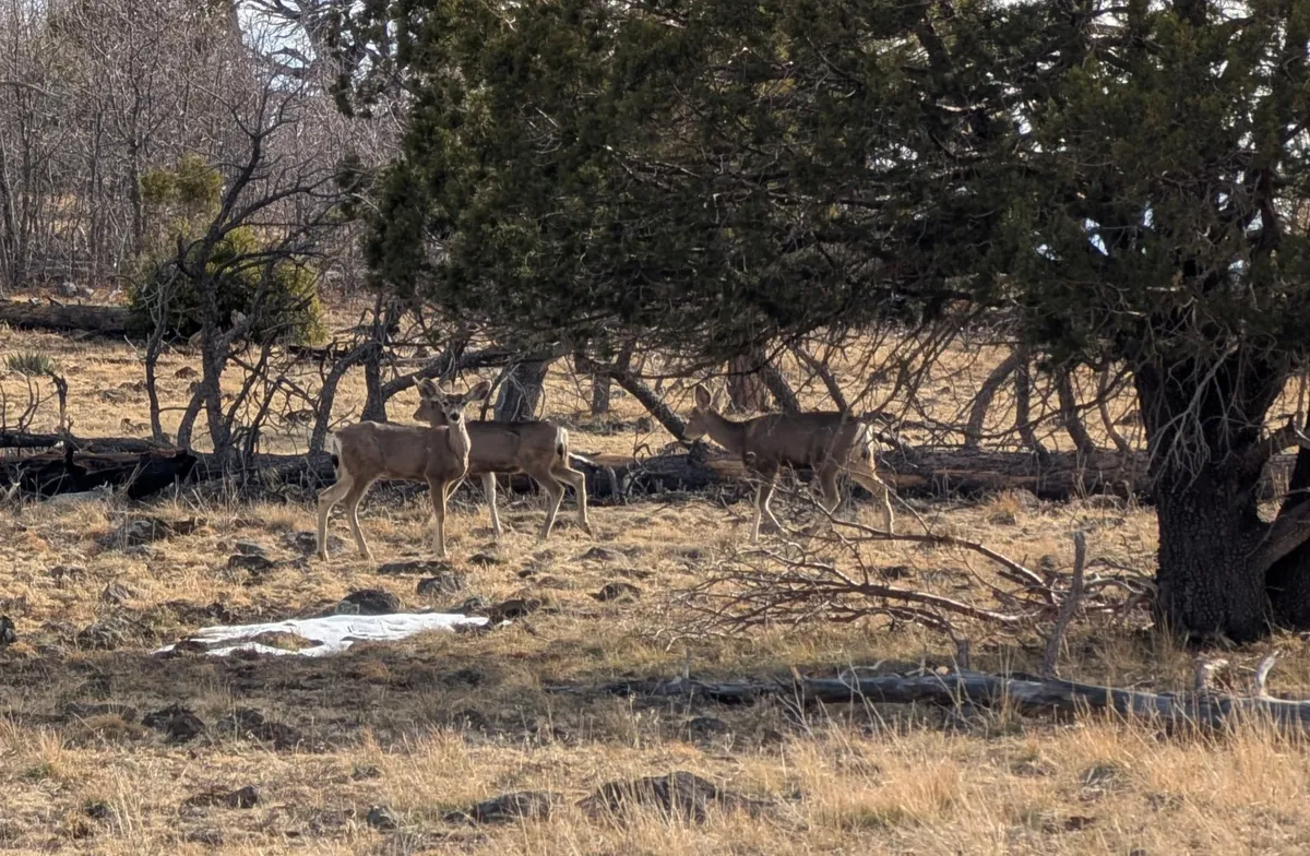 PXL_20250323_160040487