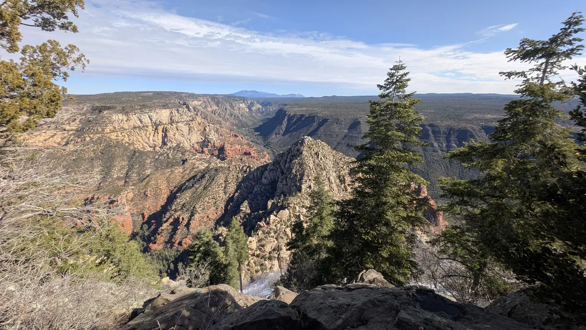 PXL_20250323_162506725