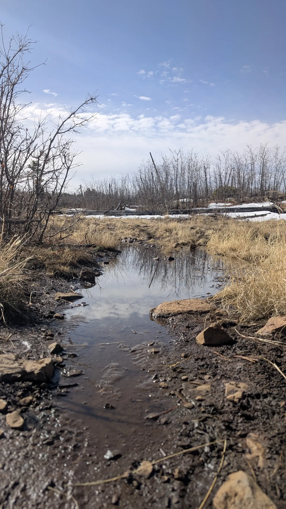 PXL_20250323_162951764