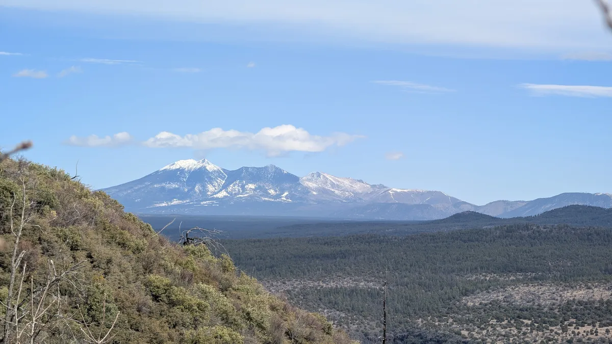 PXL_20250323_173928993