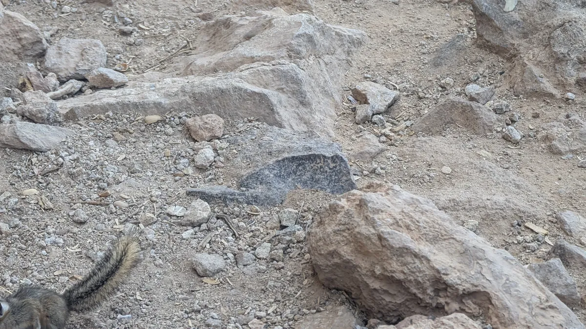 PXL_20250330_184110848