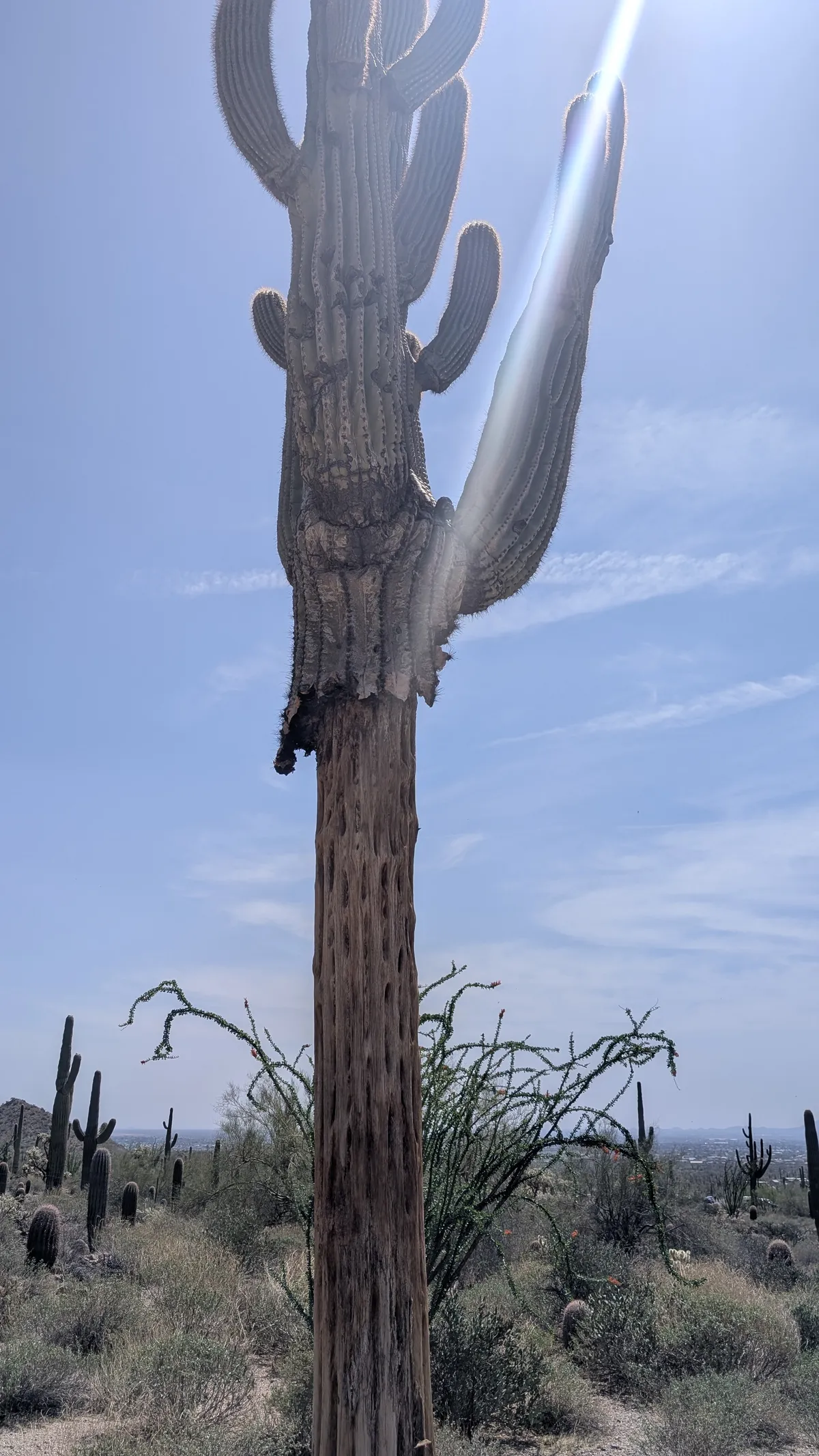 PXL_20250330_194732025